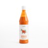 Sanddornsaft aus CH, Vitamin C, hier kaufen