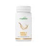 Premium Omega 3 Fisch&ouml;l Kapseln | Vitapowershop