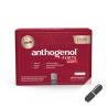 OPC Traubenkernkapseln, Anthogenol