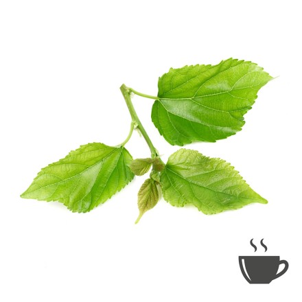 Aktuell: Bio Fairtrade Maulbeerbl&auml;tter Tee