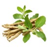 Ashwagandha-Extrakt BIO, 150 Presslinge