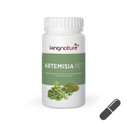 Artemisia, 72 Kapseln