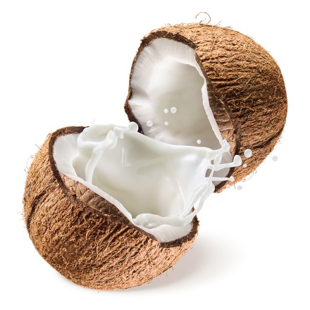 Bio Kokosmus in Premium-Qualit&auml;t f&uuml;r Kokosmilch