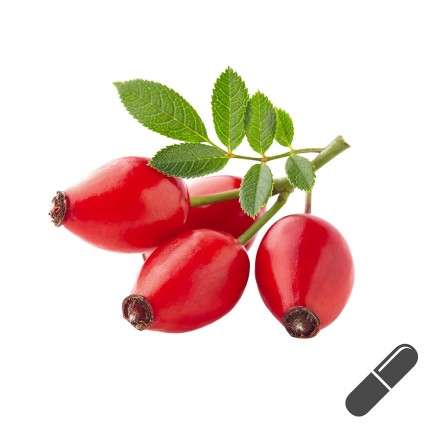 BIO Hagebutten-Kapseln (vegan) online kaufen.
