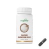 Calcium-Magnesium Kapseln | online kaufen