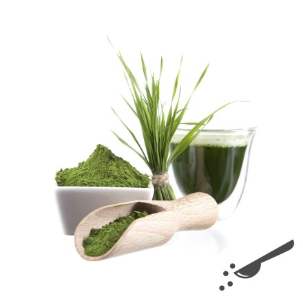 Top Gerstengras-Saft-Pulver hier online kaufen.