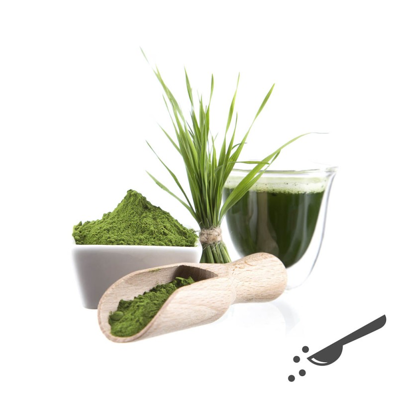 Top Gerstengras-Saft-Pulver hier online kaufen.