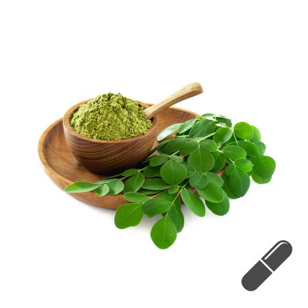 Moringa-Kapseln f&uuml;r jung & alt: Hier online kaufen