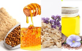 Naturkost: Honig, Getreide, M&uuml;esli, Tee, &Ouml;le hier im Onlineshop