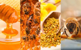 Hercules Honig & Pollen f&uuml;r Gesundheitsbewusste hier kaufen