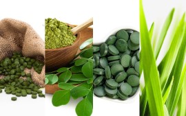 Moringa, Gerstengras-Pulver hier kaufen im Onlineshop