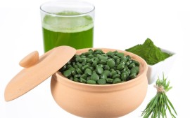 Algentabletten, Gerstengraspulver &ndash; hier im Onlineshop kaufen