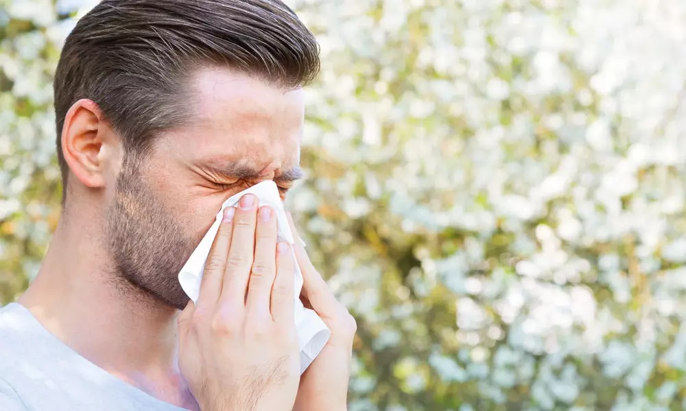 Allergien: Wenn das Immunsystem verr&uuml;ckt spielt