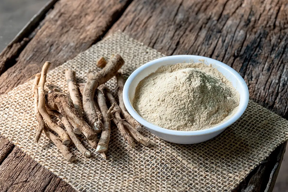 Ashwagandha: Energie rauf, Stress runter!