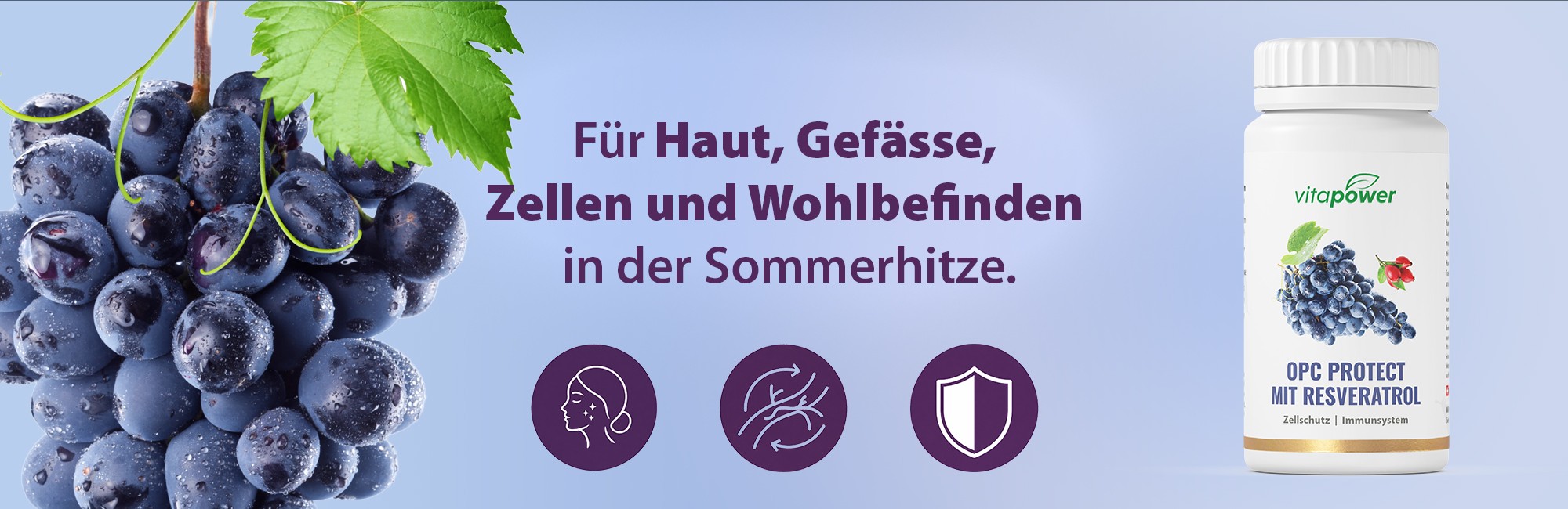 Sommerschutz f&uuml;r Haut und Gef&auml;sse 